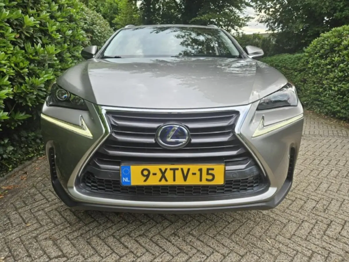 300h AWD 25th Edition Pdc/Stoelverwarming