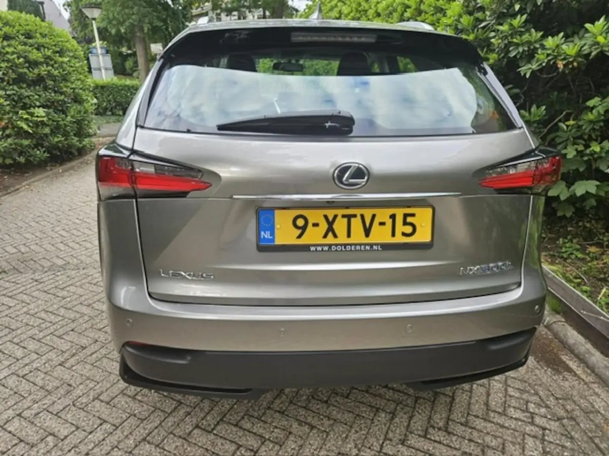 300h AWD 25th Edition Pdc/Stoelverwarming