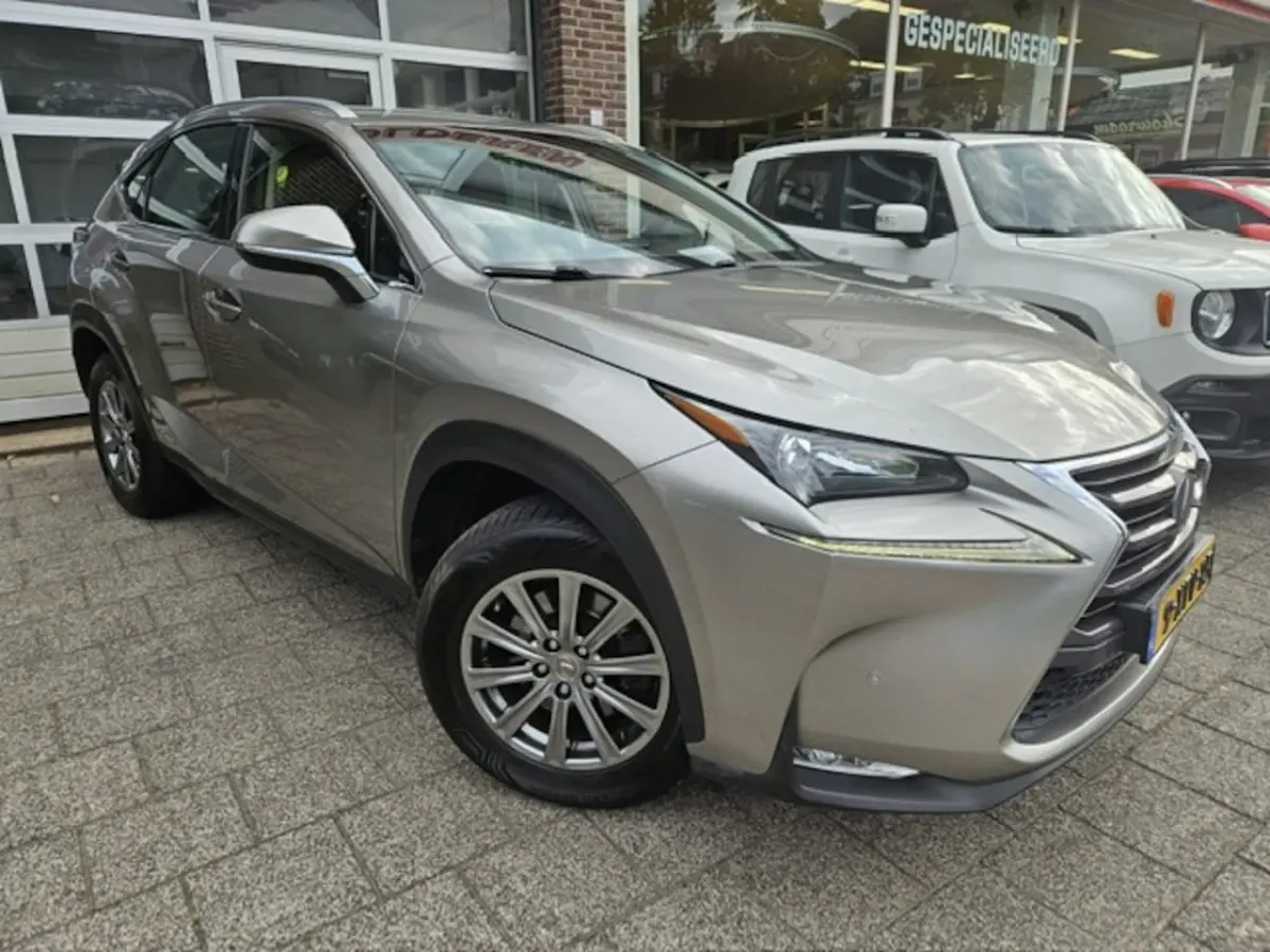 300h AWD 25th Edition Pdc/Stoelverwarming