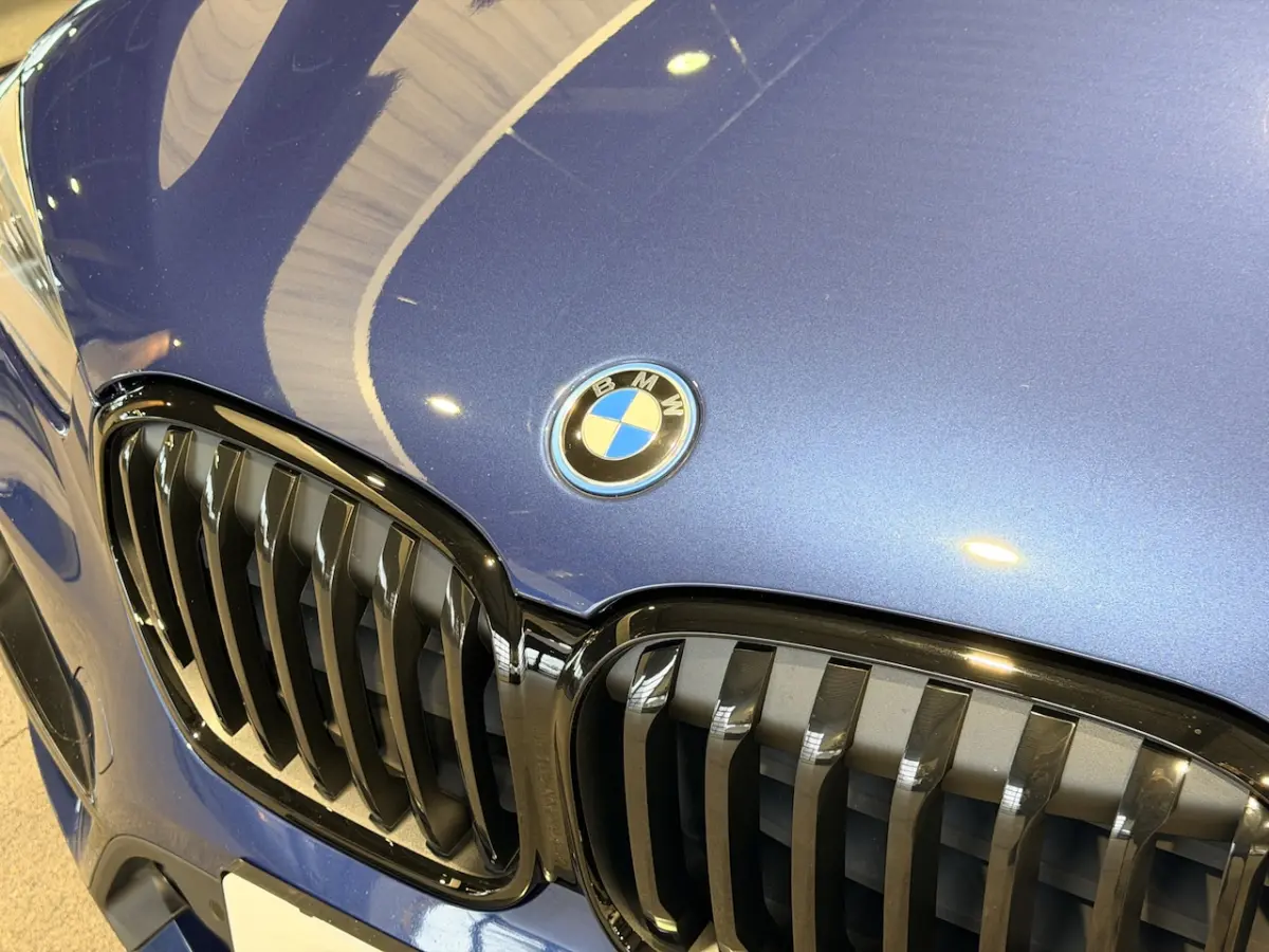 xDrive25e Executive Sportline | Camera | Trekhaak | CrÃ¨me leder