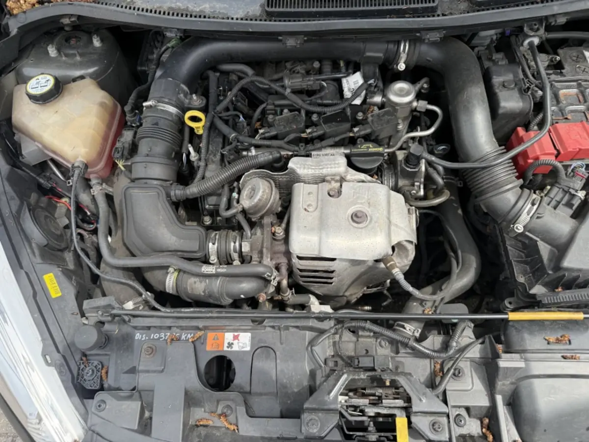 1.0 EcoBoost Red/Black Edition 140pk