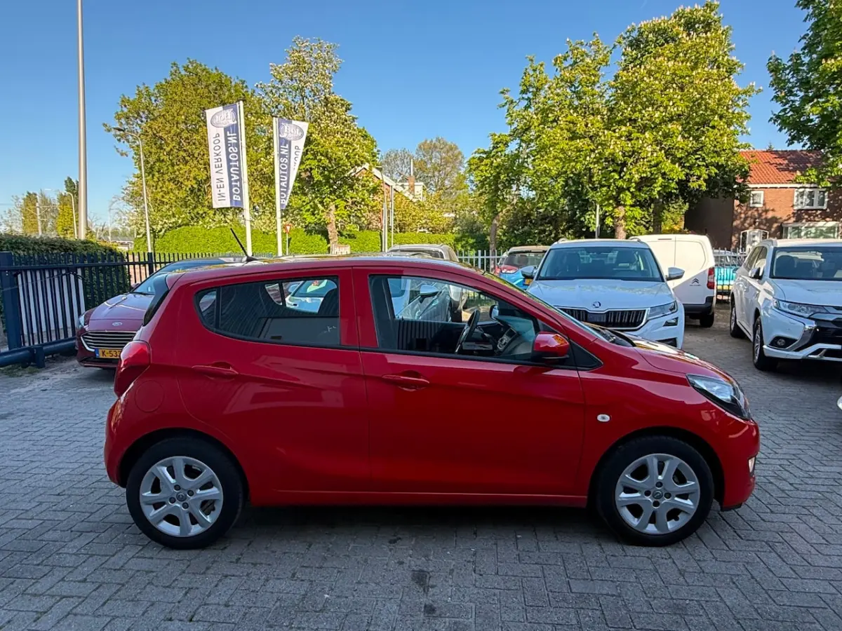 1.0 ecoFLEX Edition / AIRCO / CRUISE CONTROL / PARKEERSENSOREN