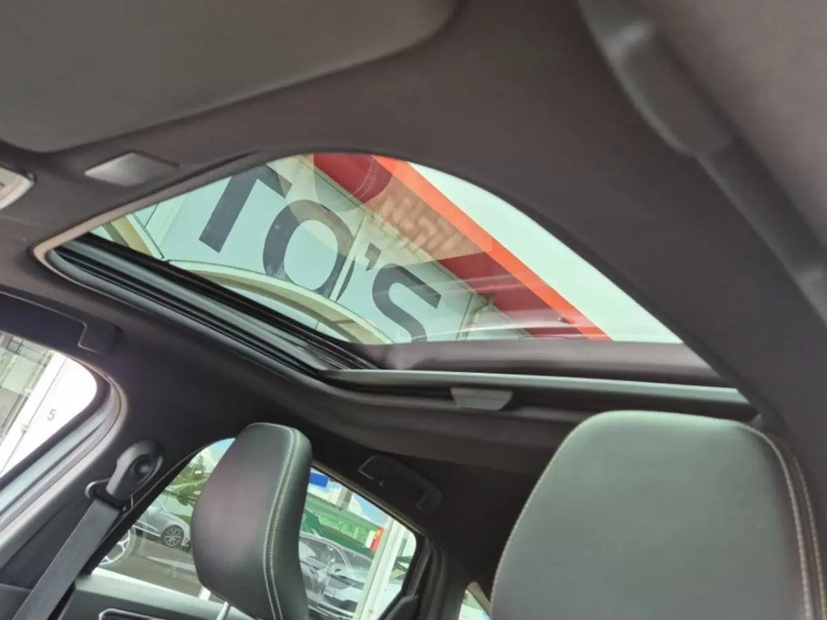 1.6 E-TECH AUT. ENGINEERED PANO-DAK NAVI CAMERA CARPLAY AIRCO LMV PDC