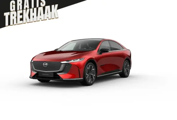 68, 8 kWh Takumi Plus Business Edition | 360Â° View Monitor | Alarmsysteem (geen certificer