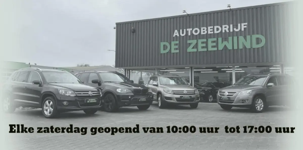 1.2 TCe Bose|Panoramadak|Navi|Nieuw APK