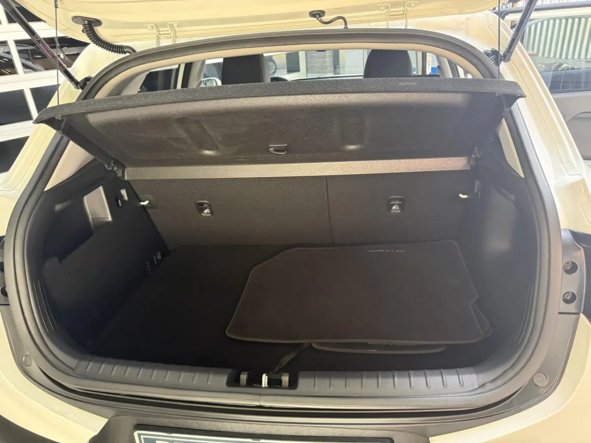 1.0 T-GDi DynamicLine stoel en stuurverwarming