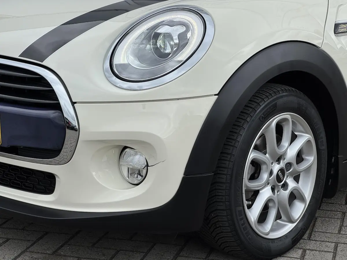1.5 Cooper Chili Serious Business NL-AUTO | PANODAK | LED