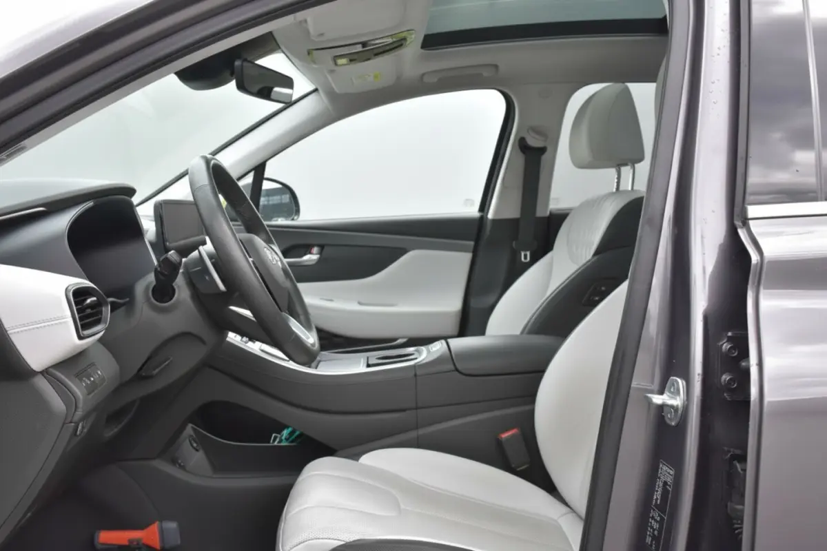 1.6 T-GDI HEV Premium Plus Sky | LEDER | PANORAMA DAK | TREKHAAK