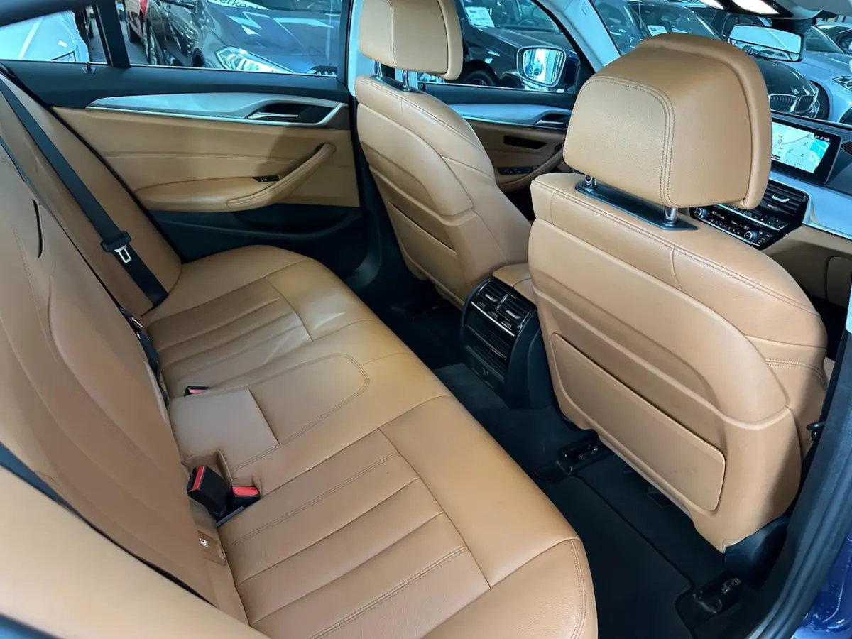 520d High Executive/1STE EIG/NAVI/CAMERA/LEDER/NAVI/NL-AUTO NAP