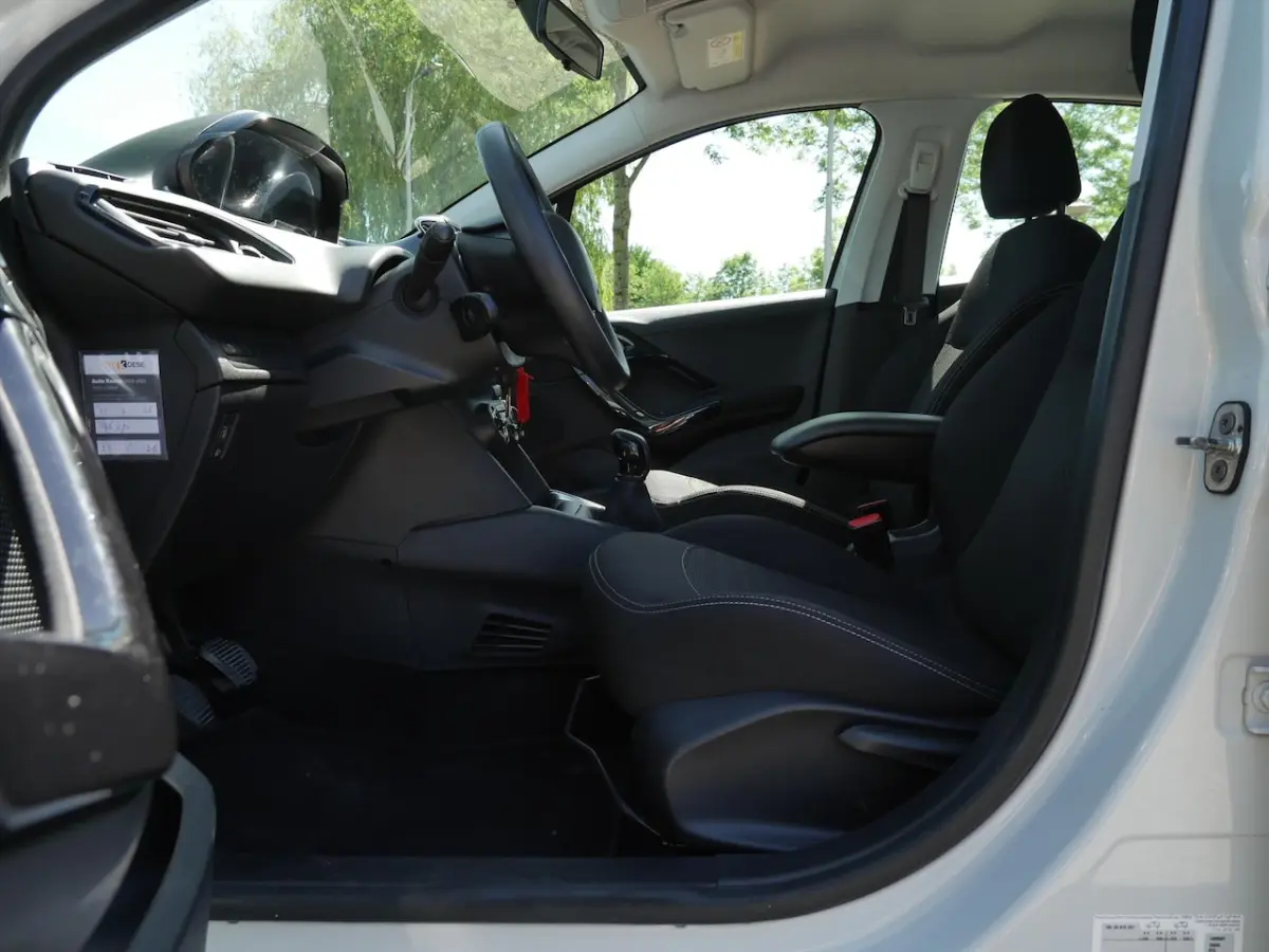 1.2 Puretech 82pk 5D Blue Lion | DAB+ | Carplay | PDC | 2de eig |