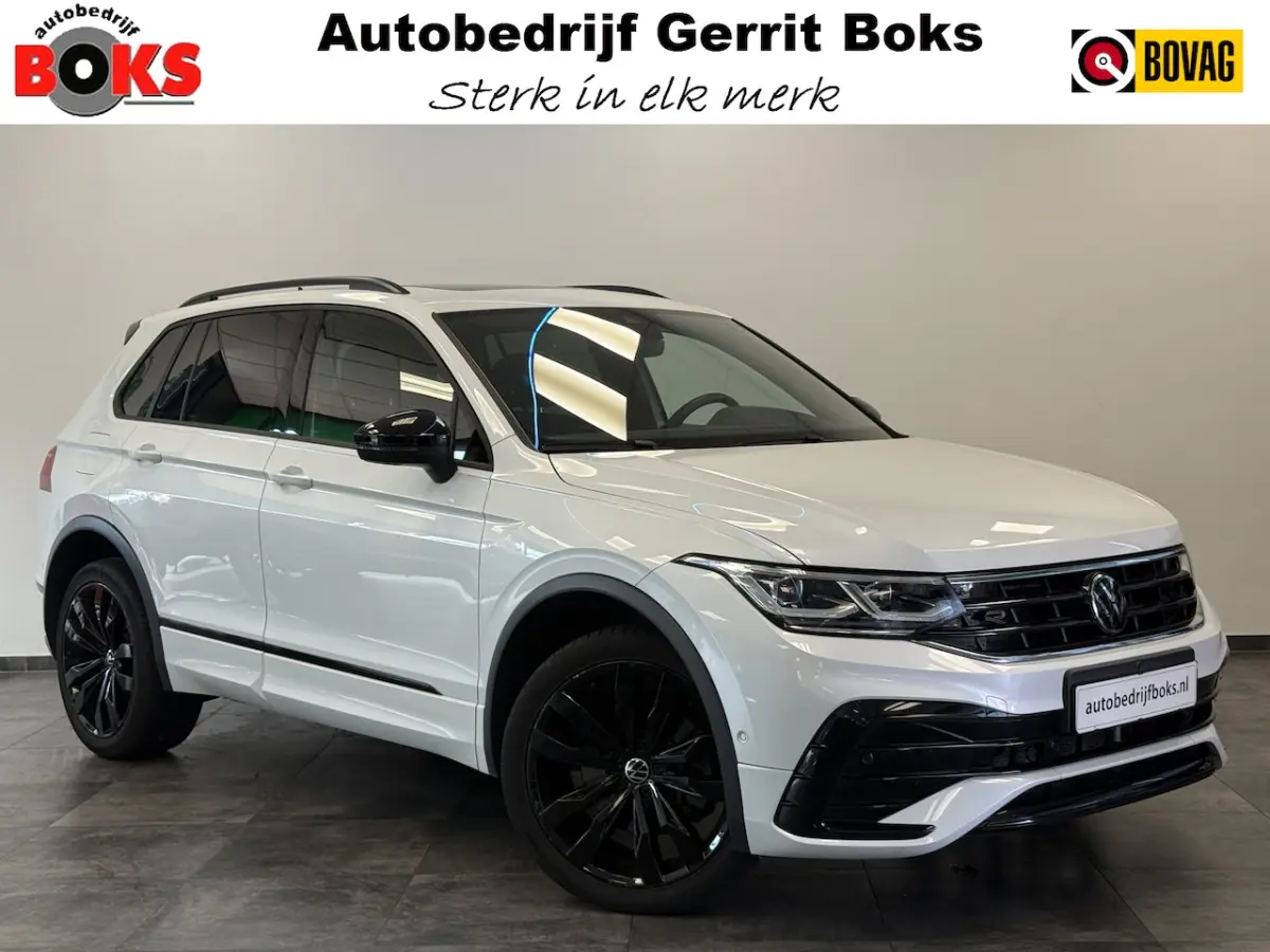 1.4 TSI eHybrid R-Line Business Leder Panoramadak IQ-light Elec.Trekhaak