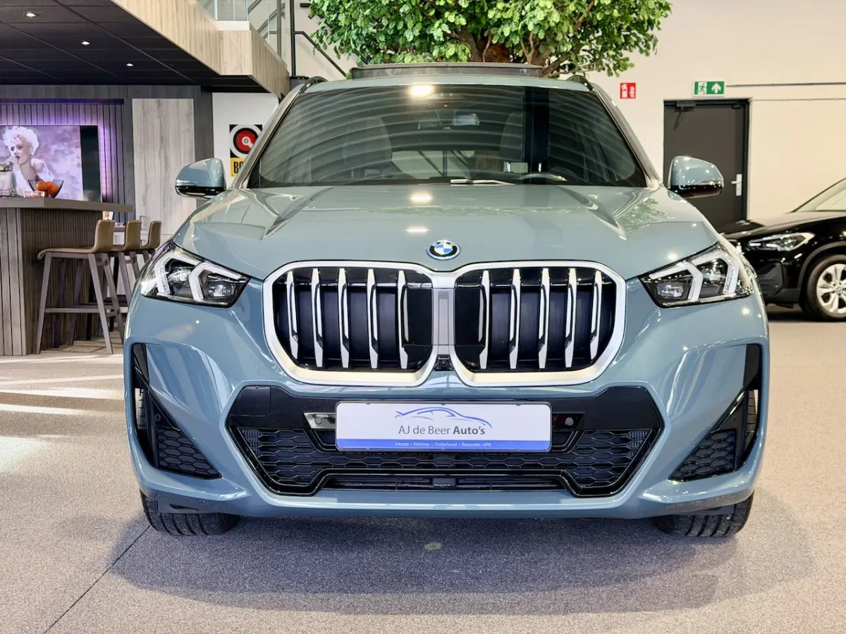 xDrive30e High Executive 326 pk M-Sport | Panorama | HUD | 360 Camera | Carplay/Android
