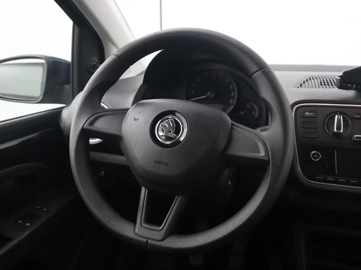 1.0 Greentech Ambition CRUISE CONTROL / AIRCO / BLUETOOTH / ELEK RAMEN / NL-AUTO