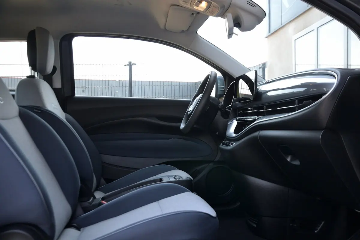 Icon 42 kWh 118PK 94, 5% SOH | Navigatie | Cruise Control | DC Lader