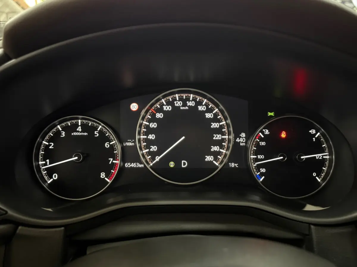 2.0 e-SkyActiv-X M Hybrid Luxury | Pano | Leder | HUD | ACC | Dodehoekdetectie | 180 PK |