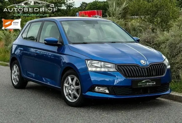 1.0 TSI Ambition CARPLAY / TREKHAAK / CARPASS / 1E EIGENAAR / TOPSTAAT