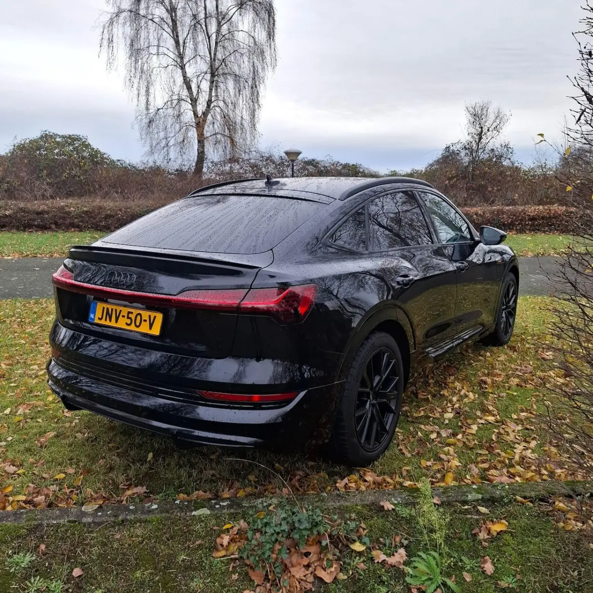 55 quattro S edition 95 kWh Black edition