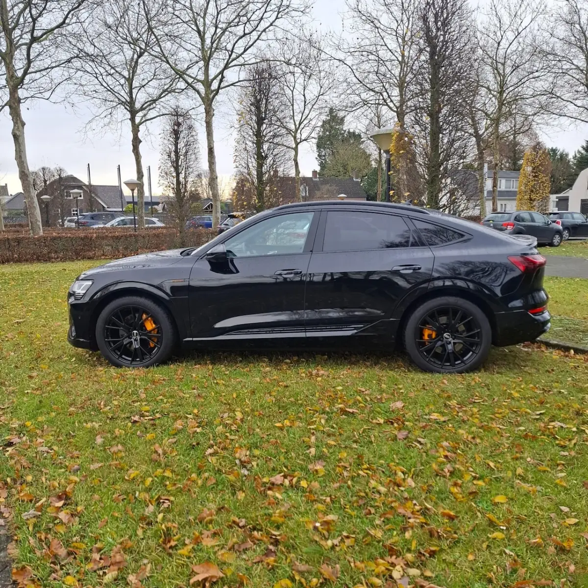 55 quattro S edition 95 kWh Black edition