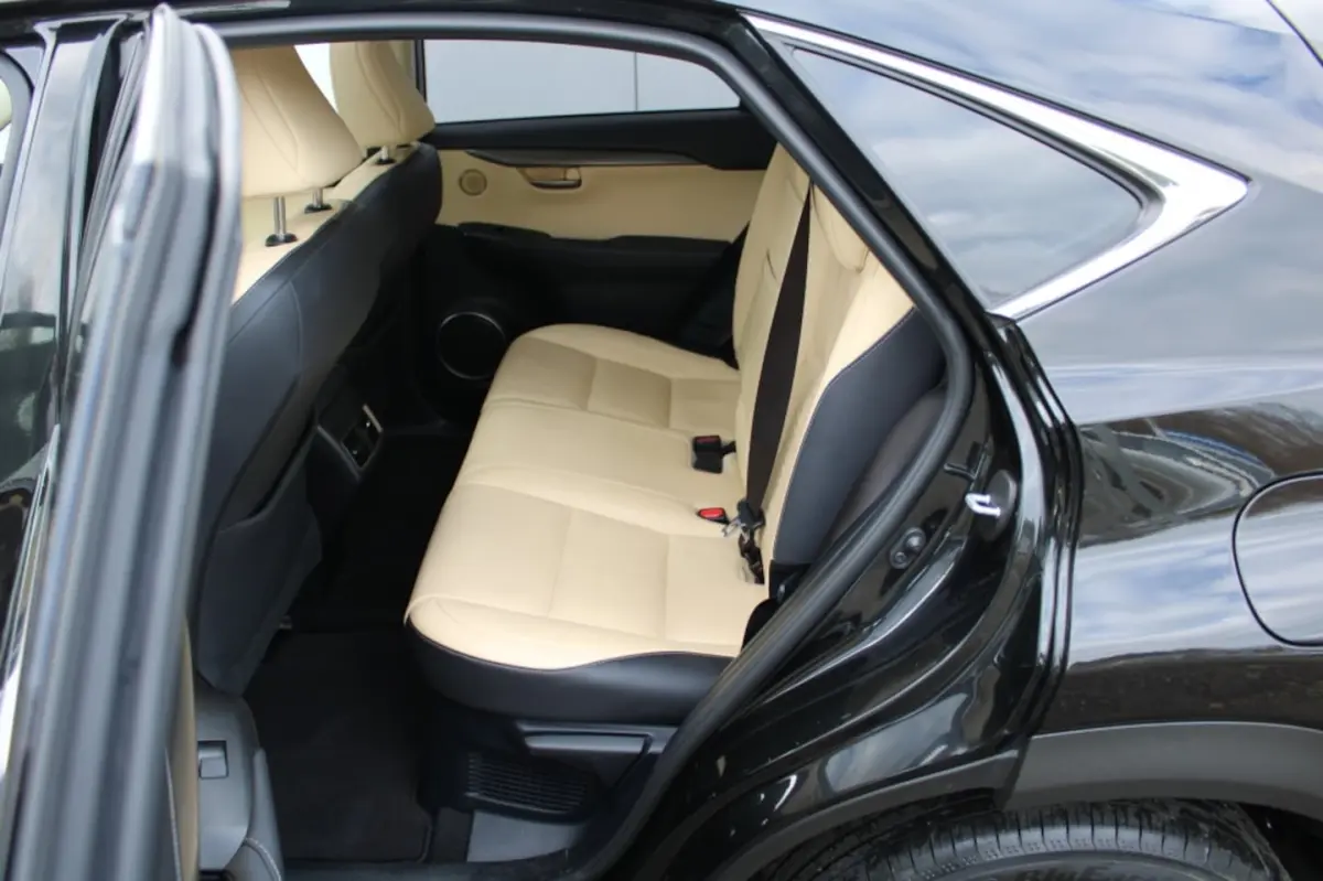300h AWD Luxury Line + Elektr.schuifkantel dak