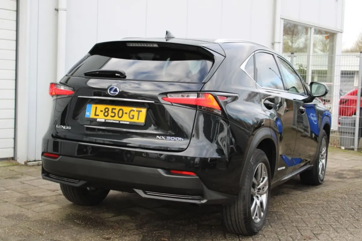 300h AWD Luxury Line + Elektr.schuifkantel dak