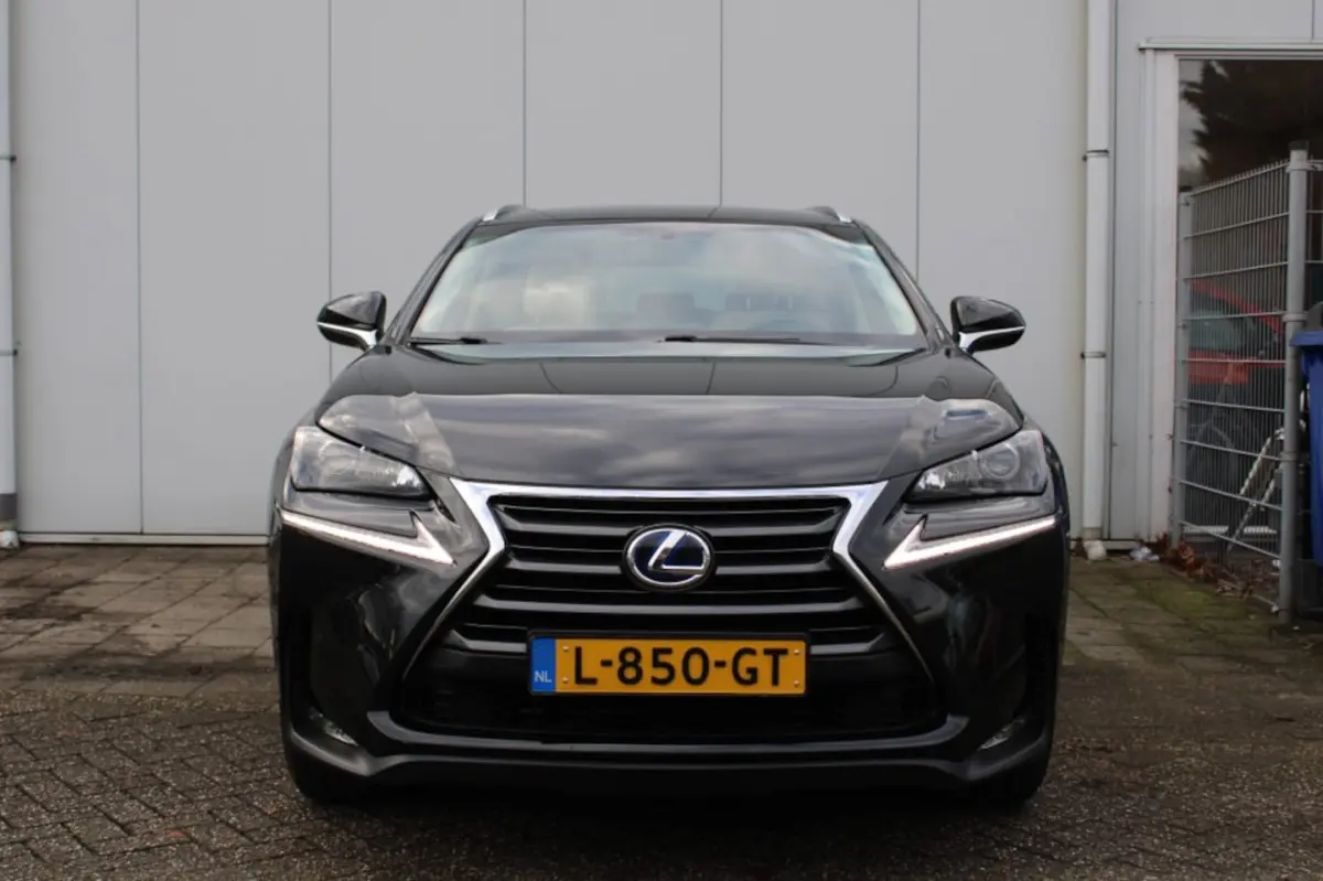 300h AWD Luxury Line + Elektr.schuifkantel dak