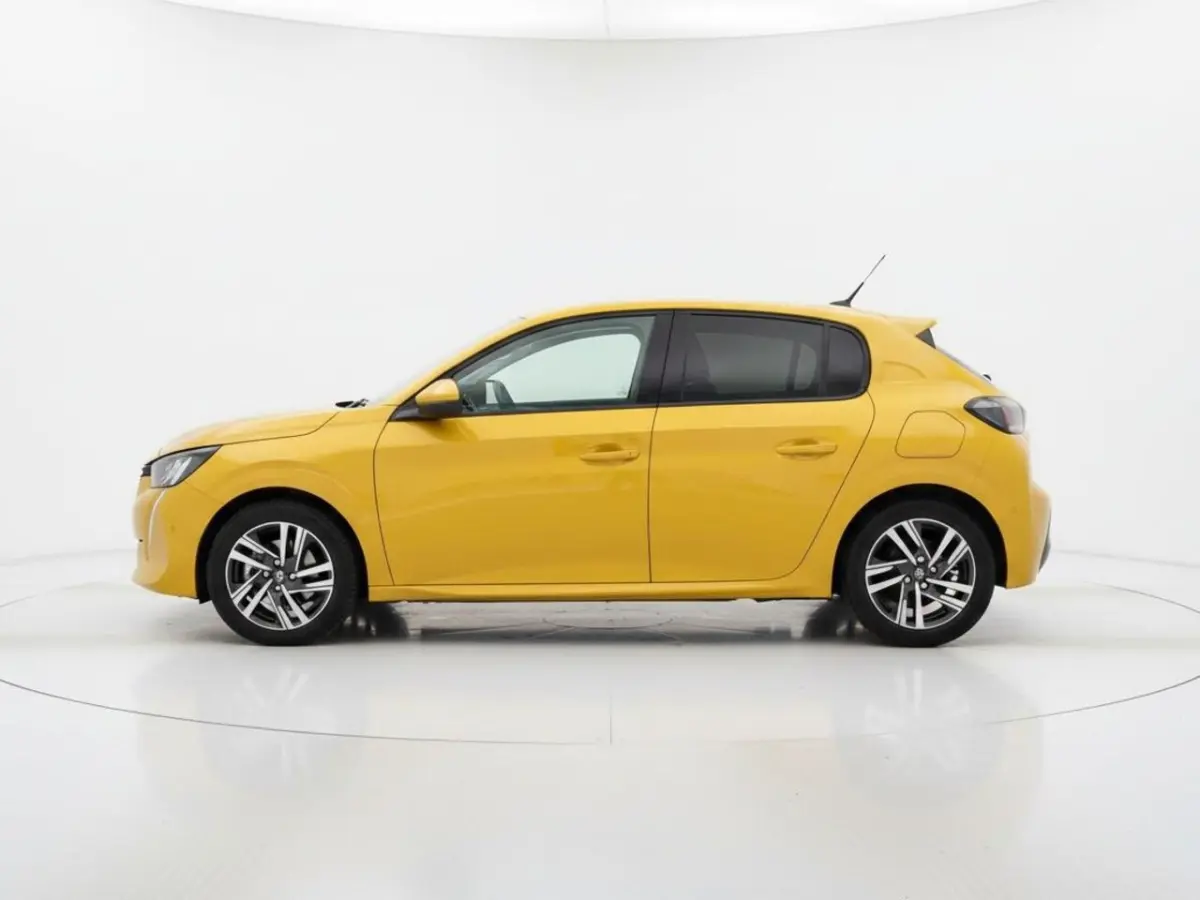 1.2 PureTech Blue Lease Active
