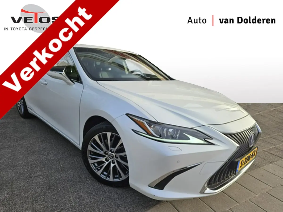 300h Luxury Line Leder/Blind spot monitor