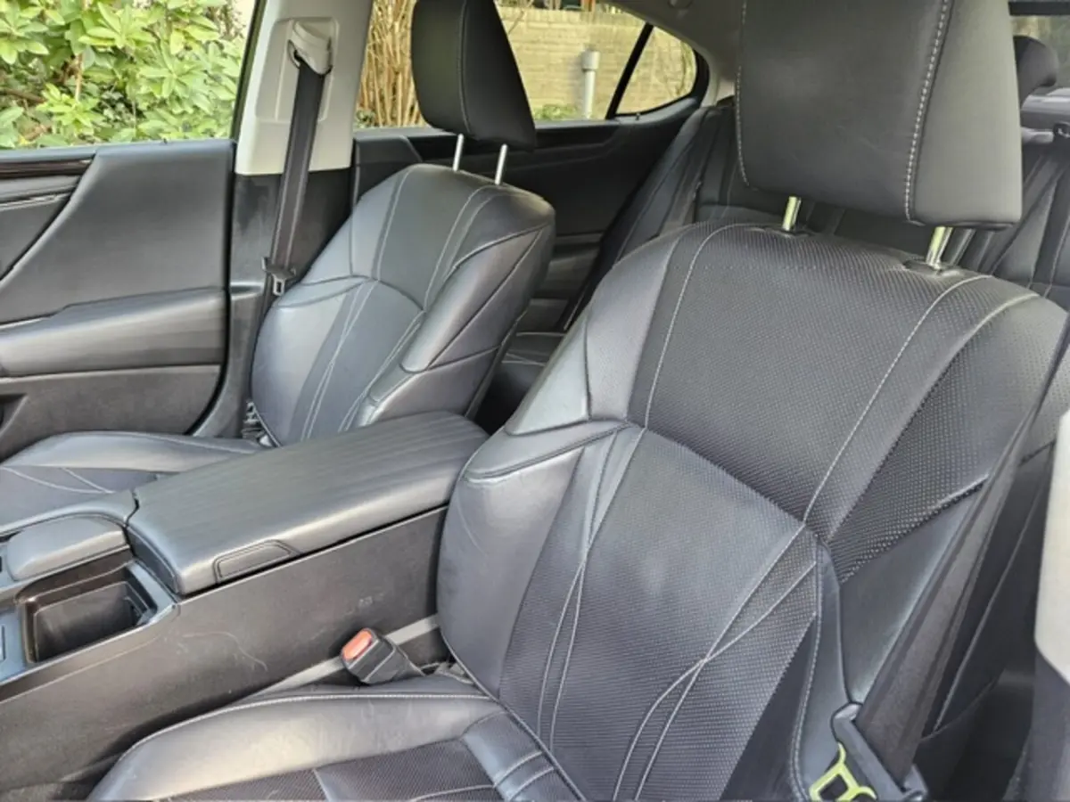 300h Luxury Line Leder/Blind spot monitor