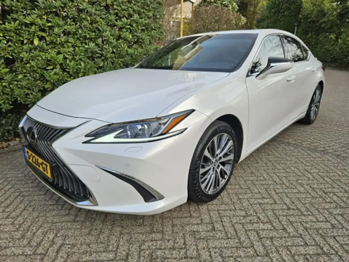 300h Luxury Line Leder/Blind spot monitor