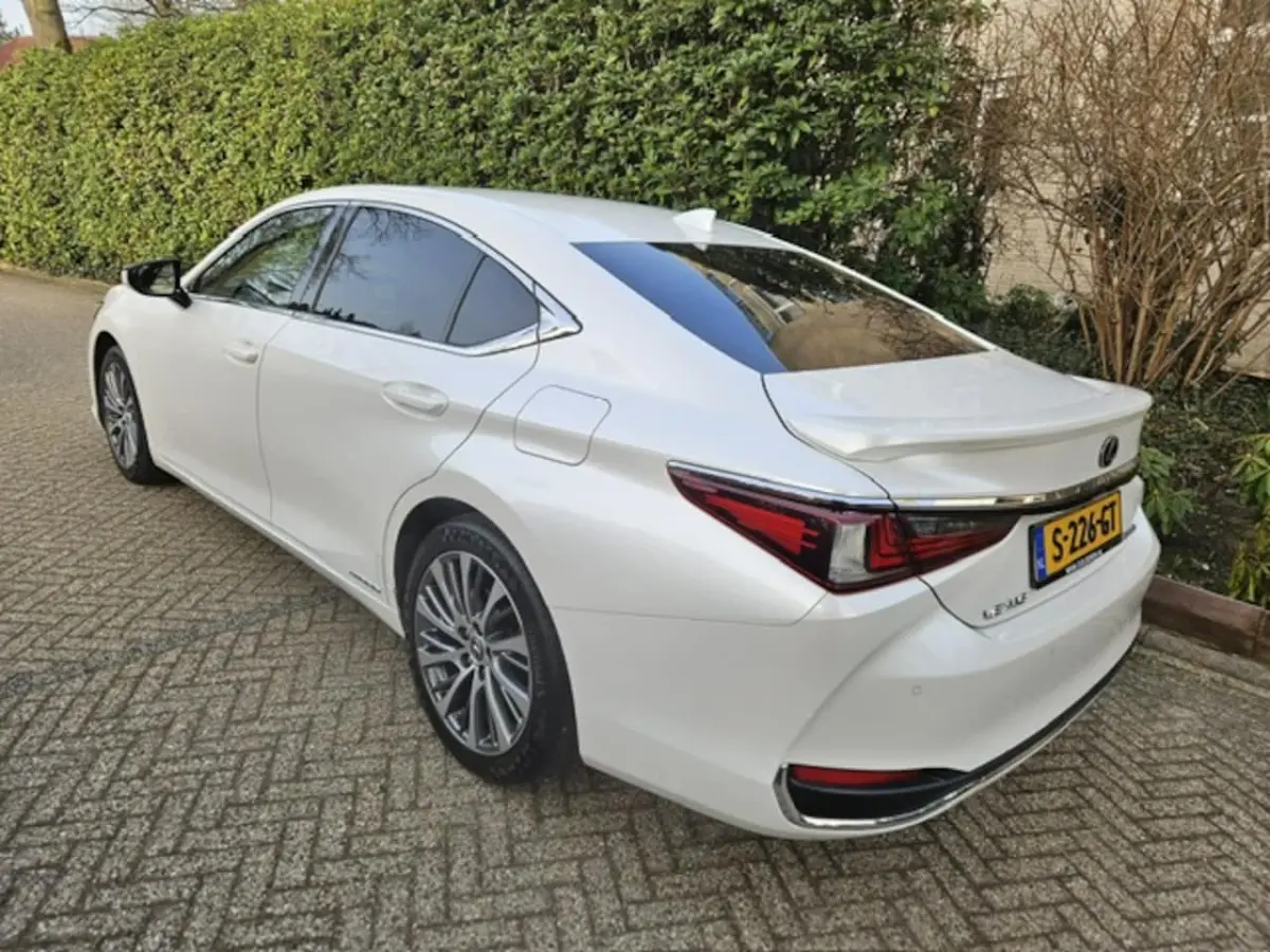 300h Luxury Line Leder/Blind spot monitor