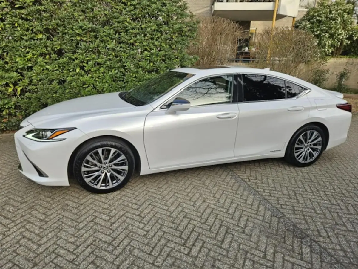 300h Luxury Line Leder/Blind spot monitor