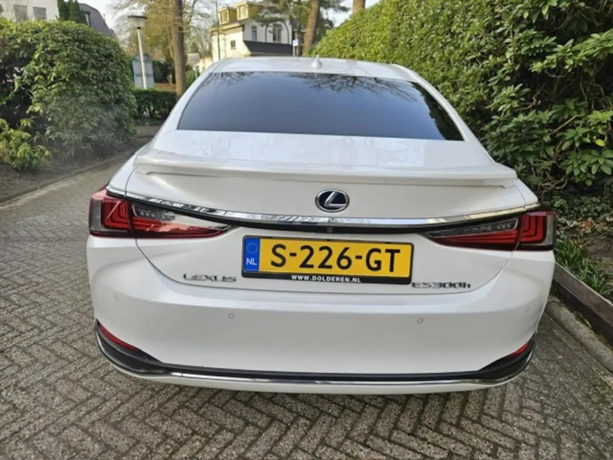 300h Luxury Line Leder/Blind spot monitor