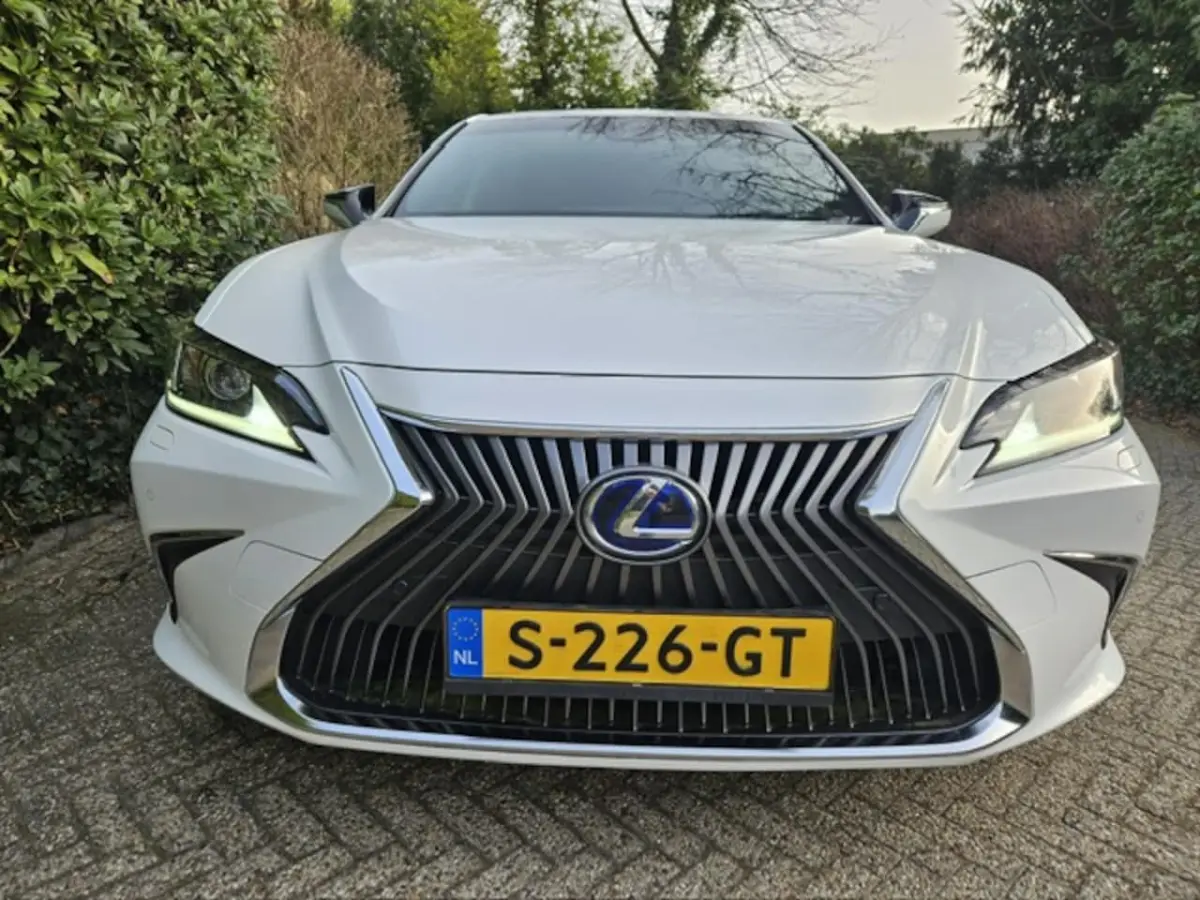 300h Luxury Line Leder/Blind spot monitor
