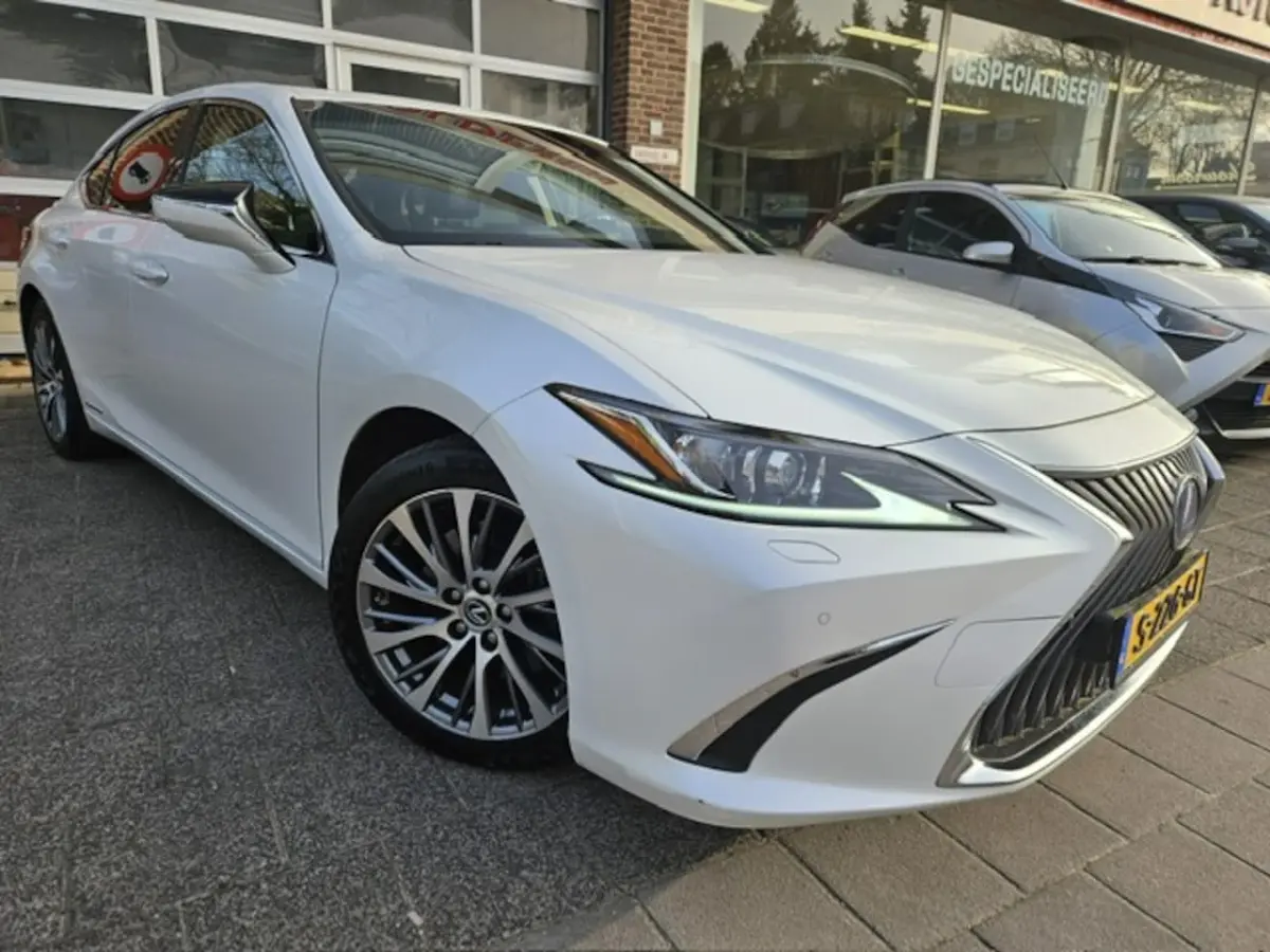 300h Luxury Line Leder/Blind spot monitor