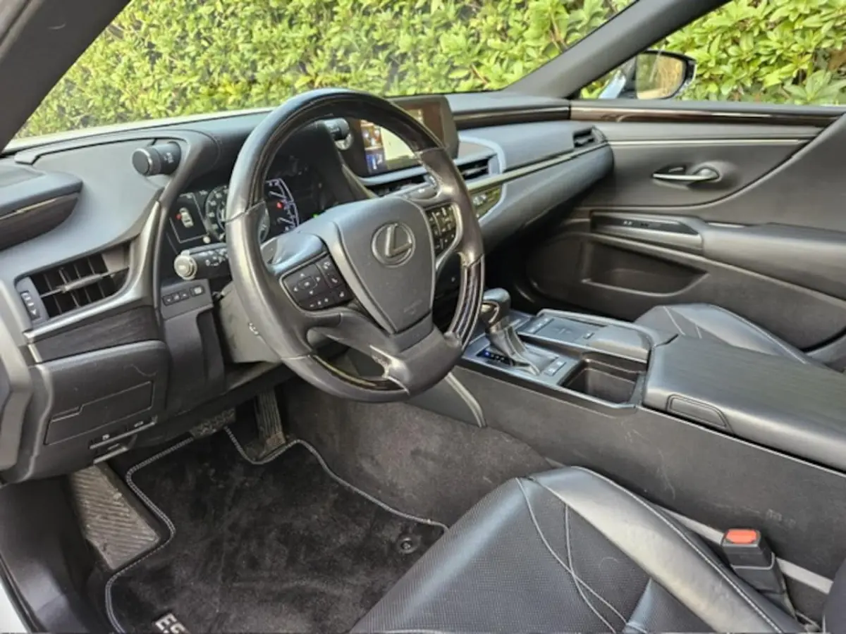 300h Luxury Line Leder/Blind spot monitor