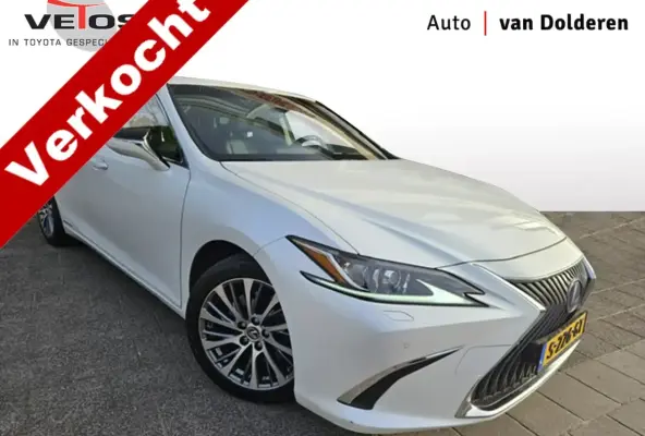 300h Luxury Line Leder/Blind spot monitor