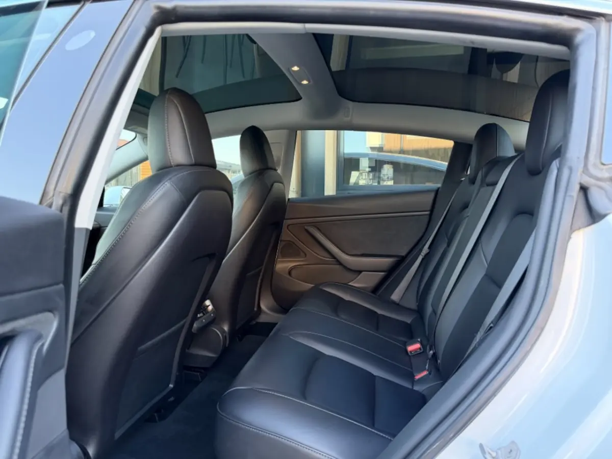 PERFORMANCE 462 PK AWD 75 KWH | ORIG. NL | 20 INCH | Autopilot