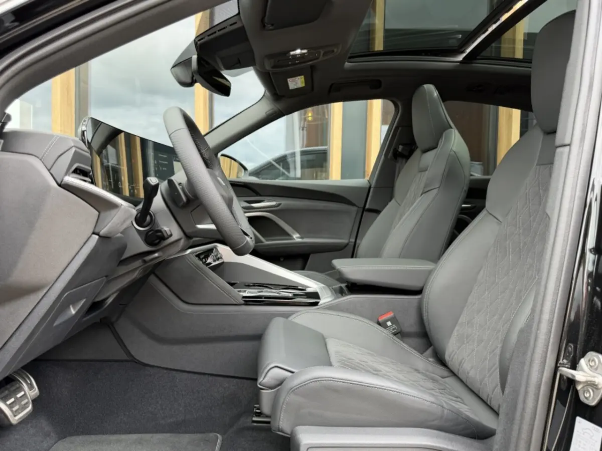 2.0 TFSI e-hybrid quattro S edition Competition, 370PK | Pano |