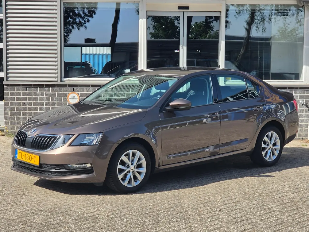 1.0 TSI Aut Dealer onderhouden Navi Carplay Nap