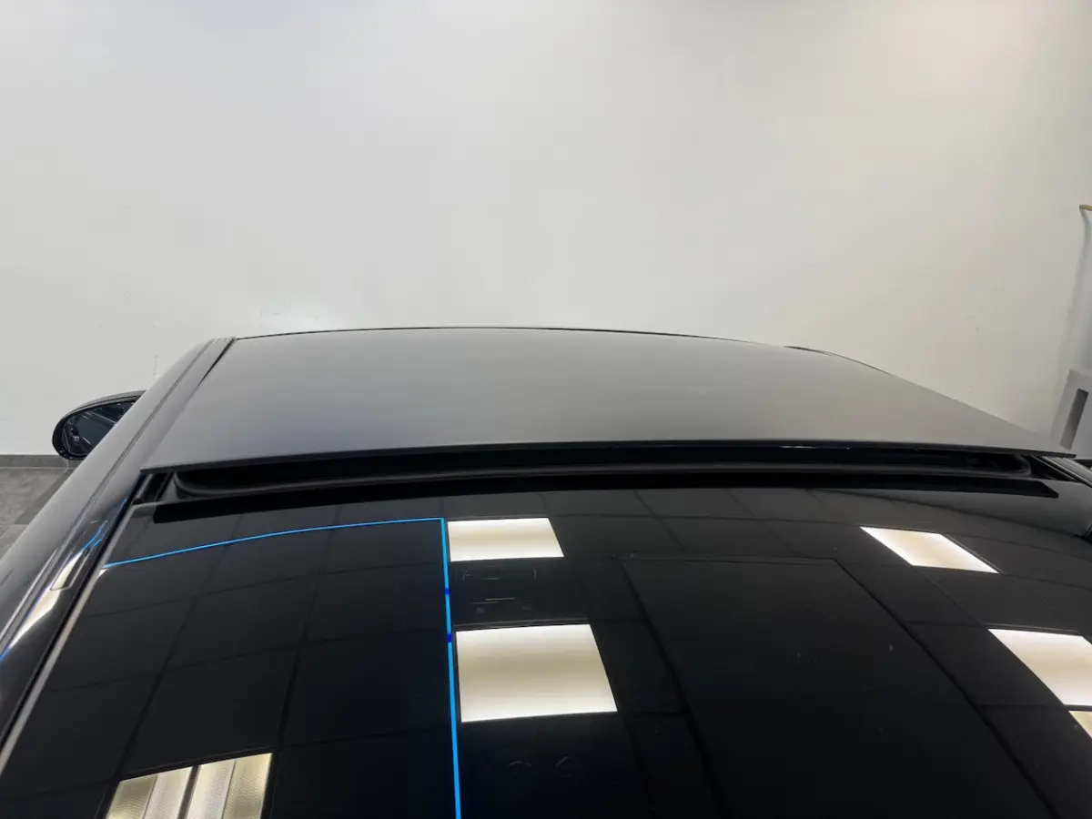 300 e AMG Line PDC ACC Schuifkanteldak 360 Camera 20 inch