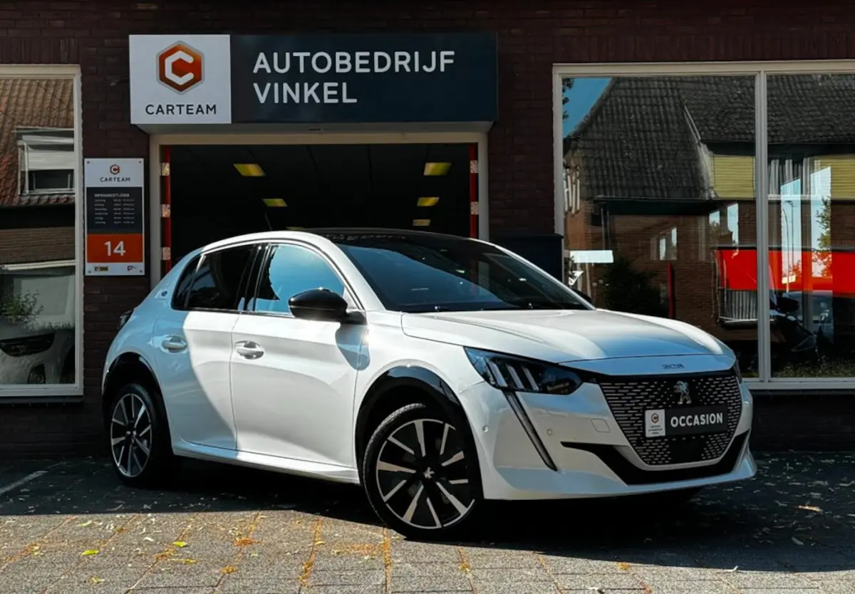 EV GT 350 50 kWh *Geen AFL Kosten*PanoDak*Stoelver*Navi*Carplay