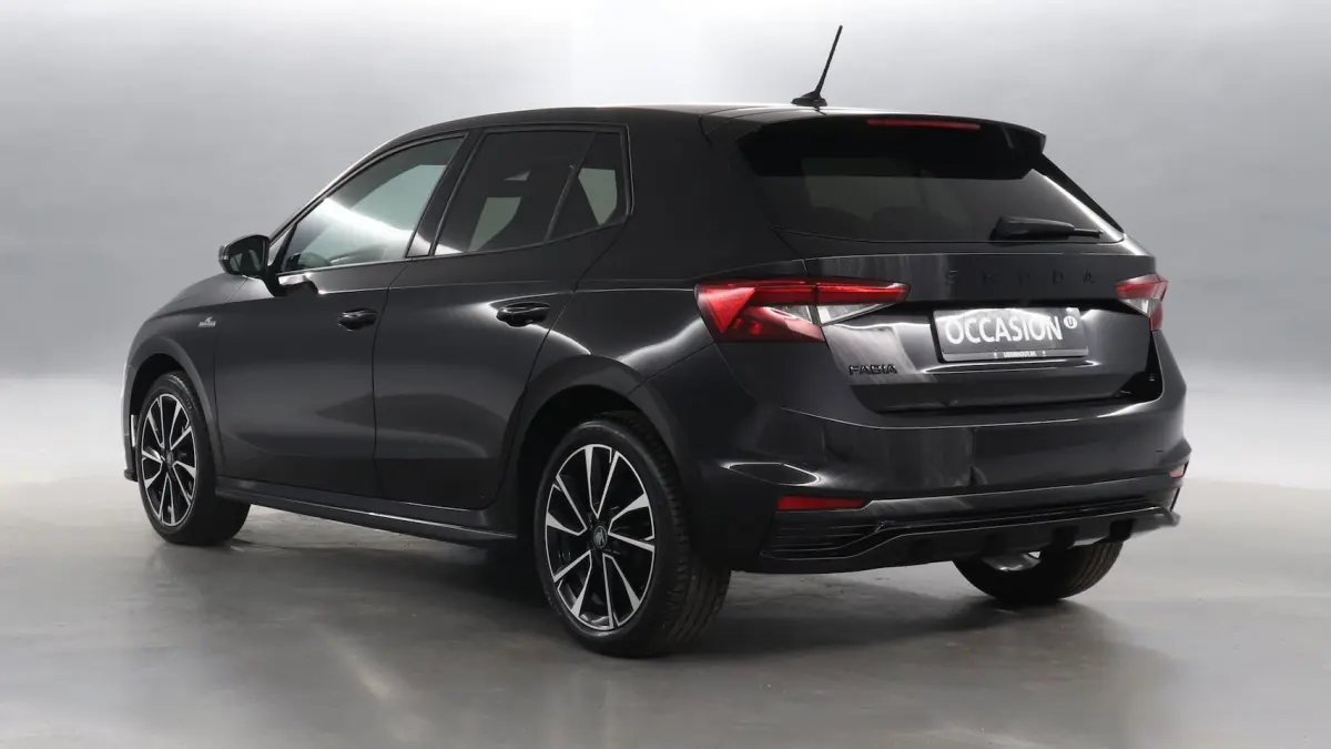 1.0 TSI 115pk Monte Carlo DSG / Navigatie via App Connect / Camera / Stoelverwarming 188
