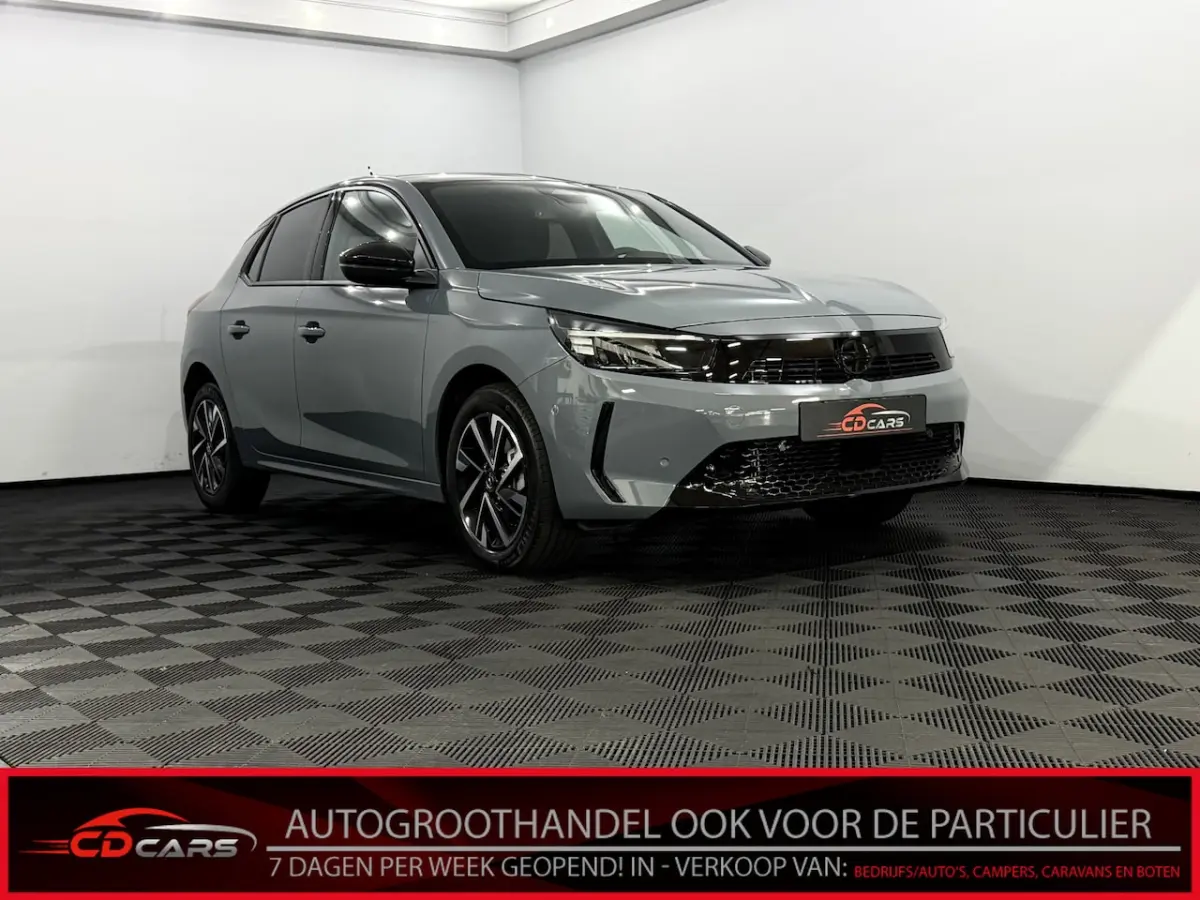 1.2 Turbo GS Camera, Half leder, Apple carplay, Cruise control, Rijstrook correctie, A sta
