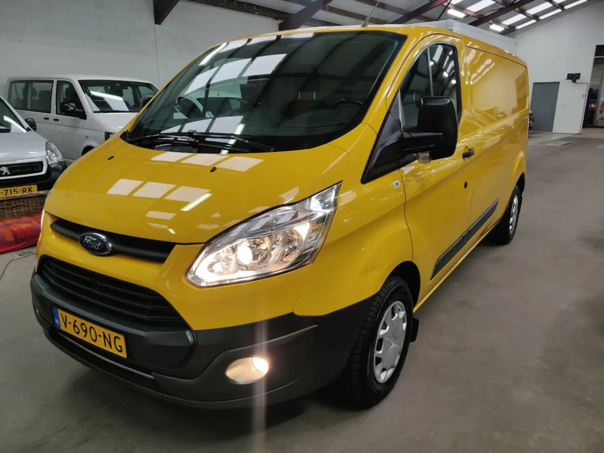 290 2.0 TDCI L2H1 Trend Euro 6