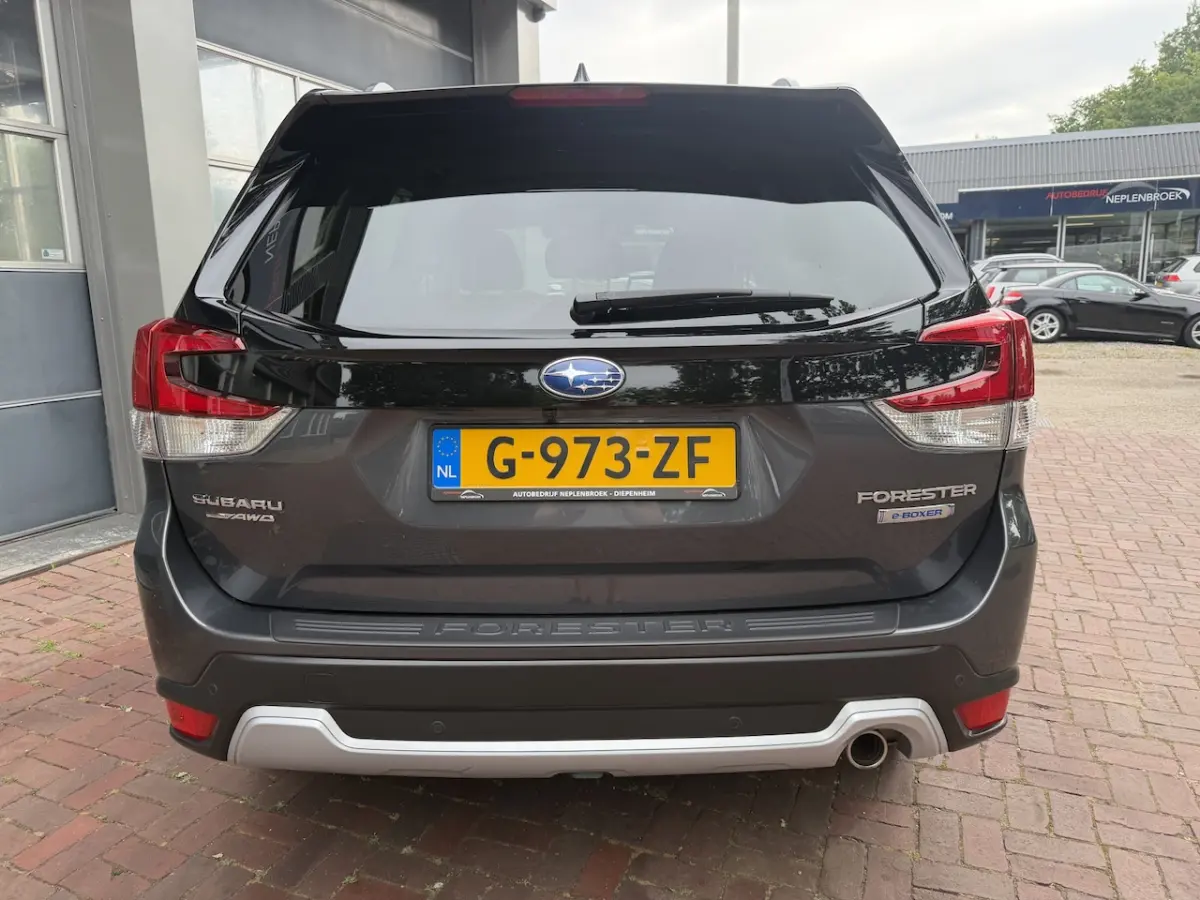 2.0i e-BOXER Luxury Bj 2020 Km 79.000 Nap 1e eigenaar Trekhaak, Navi, 4x4, Camera, Cruise