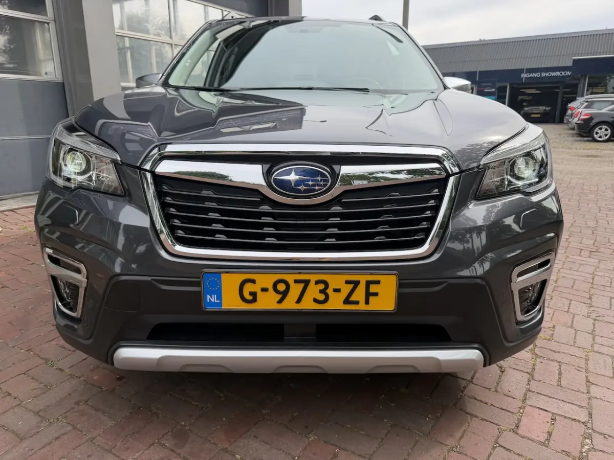2.0i e-BOXER Luxury Bj 2020 Km 79.000 Nap 1e eigenaar Trekhaak, Navi, 4x4, Camera, Cruise