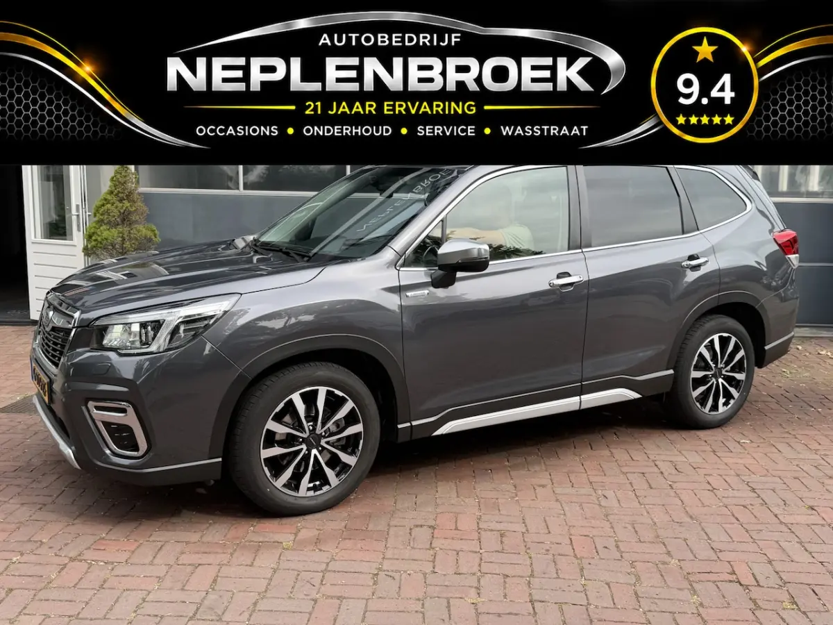 2.0i e-BOXER Luxury Bj 2020 Km 79.000 Nap 1e eigenaar Trekhaak, Navi, 4x4, Camera, Cruise