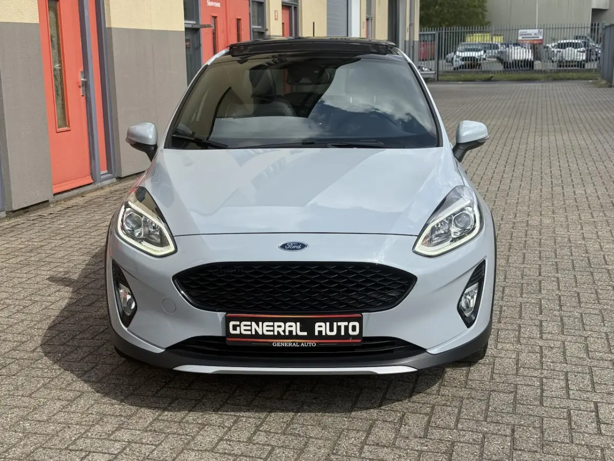 1.0 EcoBoost Active Edition, panoramadak, CarPlay