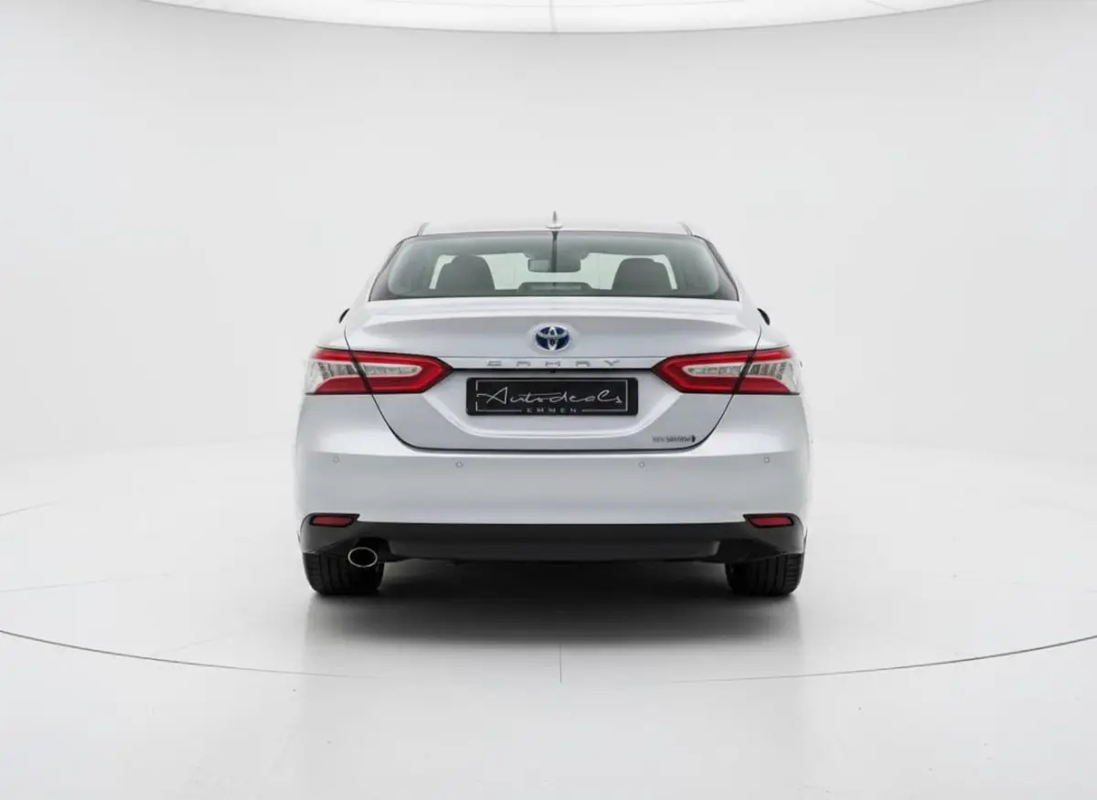 2.5 Hybrid Executive