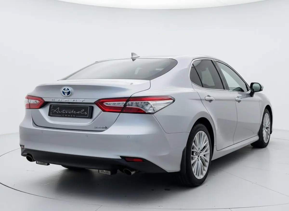 2.5 Hybrid Executive